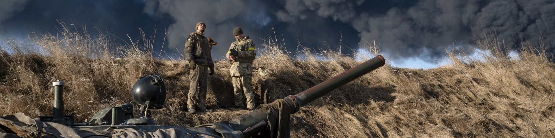 WAR CHRONICLES: UKRAINE 2014–2025