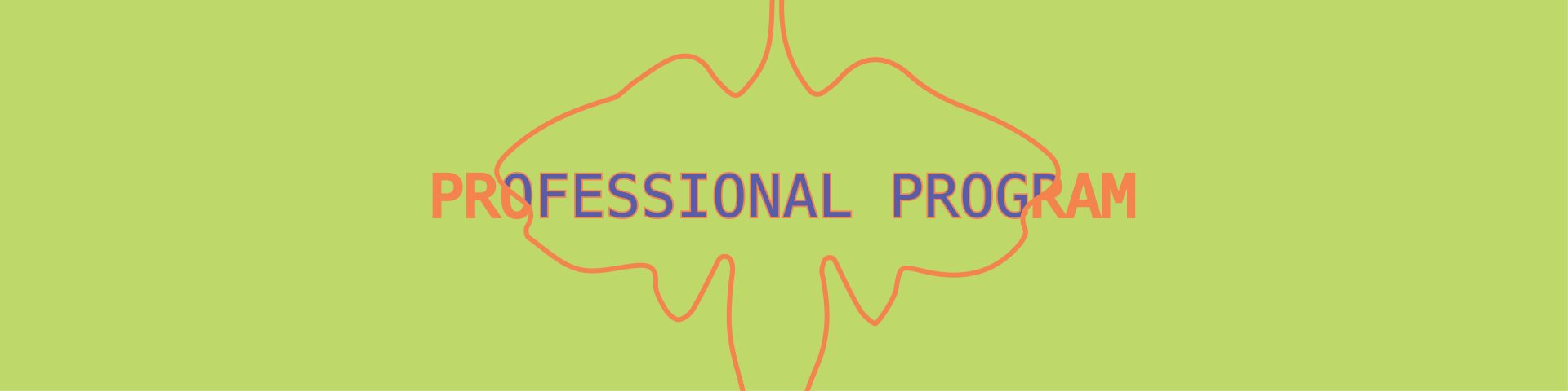 Professional Program